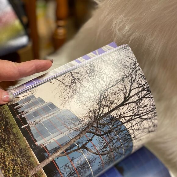 BUILT by Charles Slert, Architect - Picture 9 of 11